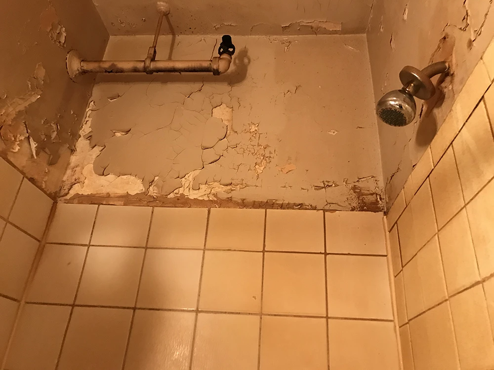 Pommeau douche insalubre - Vie de Château