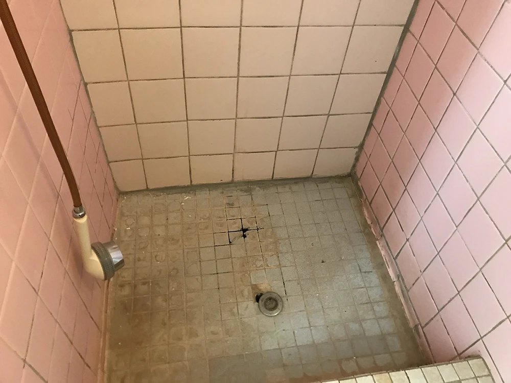 Plancher douche insalubre - Vie de Château